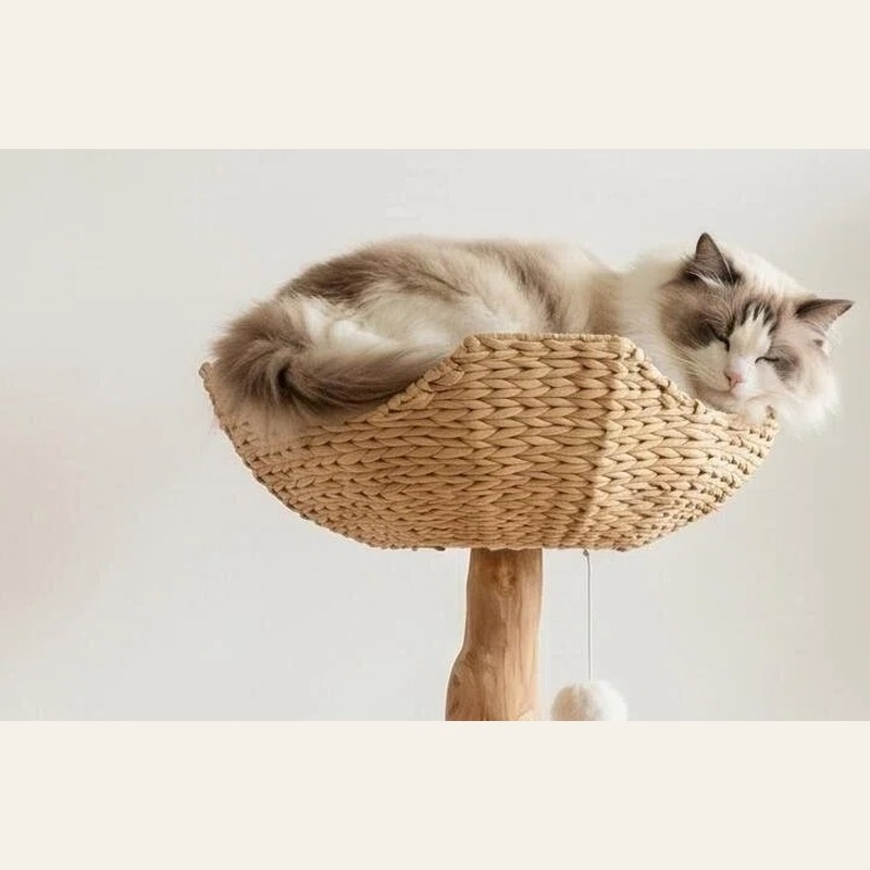 Branch & Basket Retreat